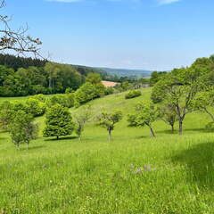 22-05-08 11-25-04 0769